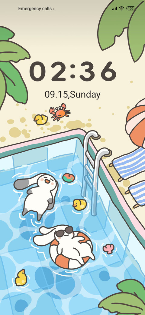 Rabbit Pool Moment preview