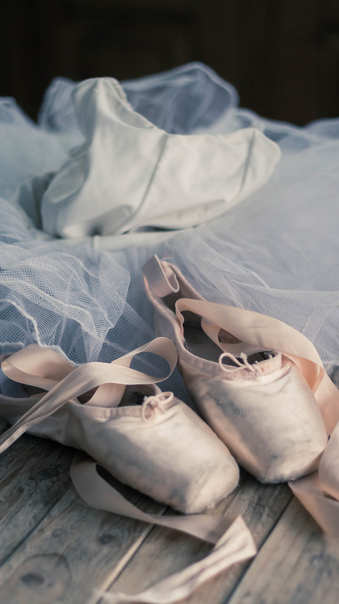 Elagant Dancing (9) preview