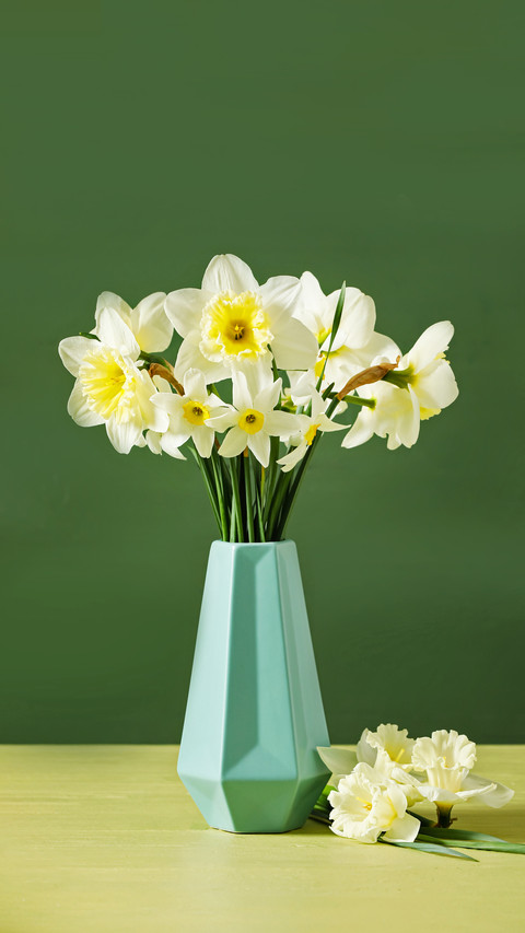 Vase with beautiful daffodils on color wooden background preview