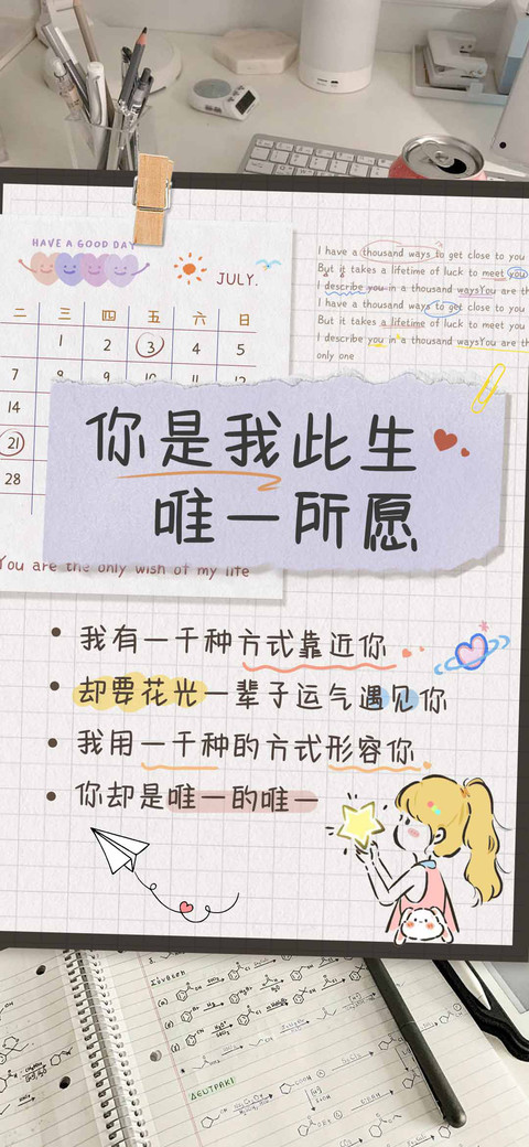 你是我此生唯一所愿 preview