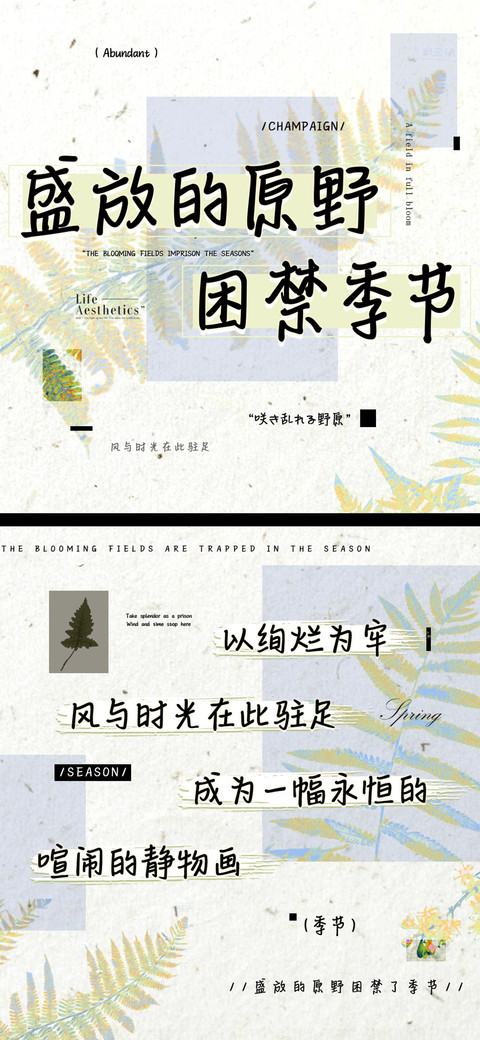 盛放的原野困禁季节 preview