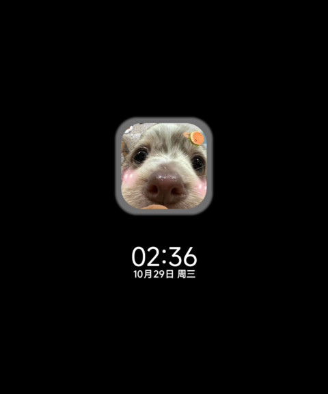 软萌狗狗 preview