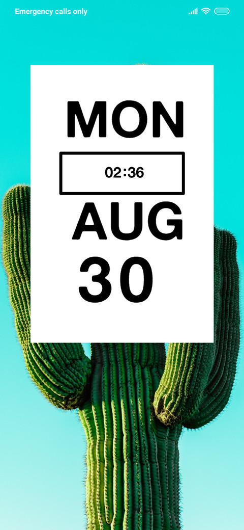 Plant Cactus preview