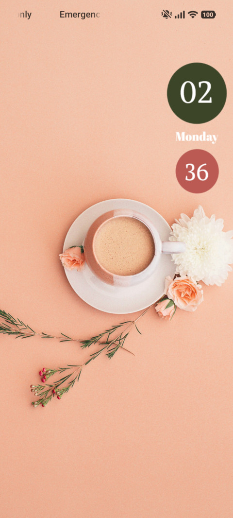 Blush Tea preview
