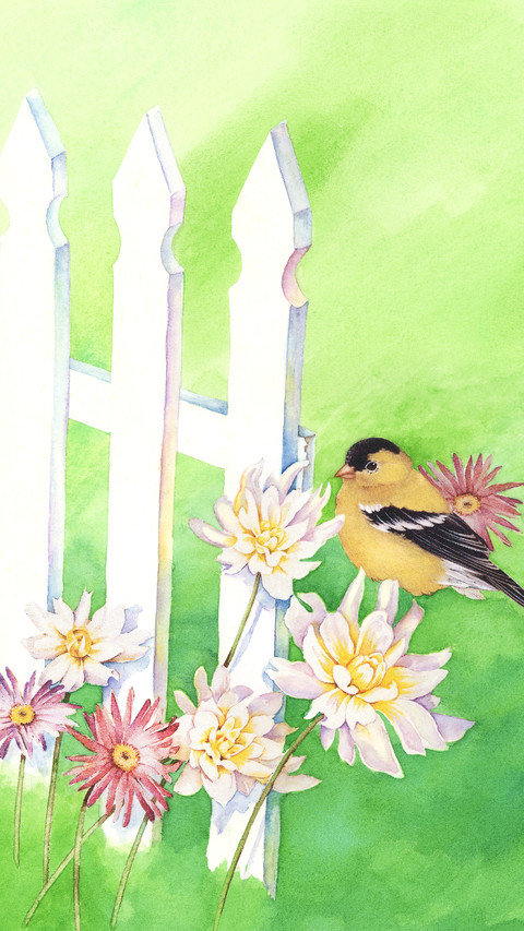 栖鸟有鸣 preview