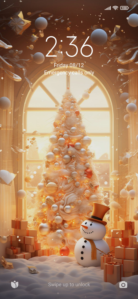 Christmas Window preview