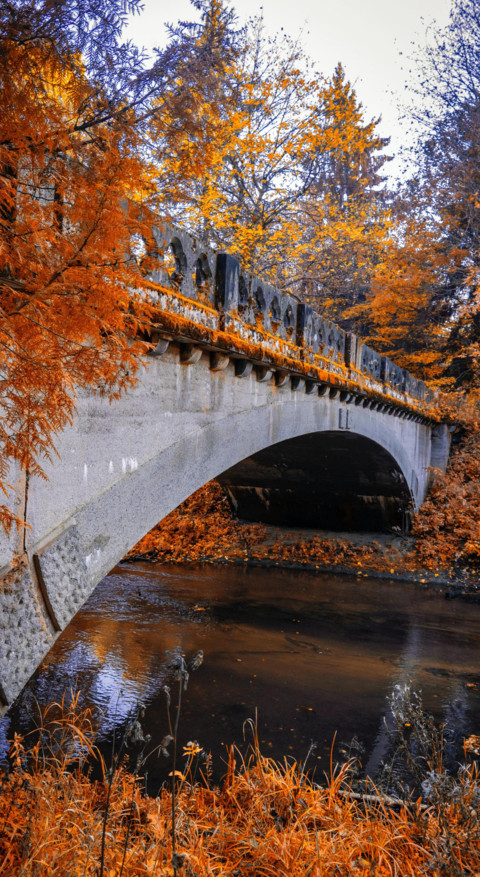 Bridges of Nature 2 preview