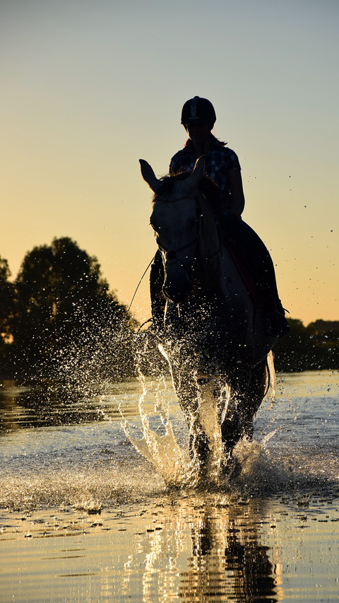 Horses8 preview