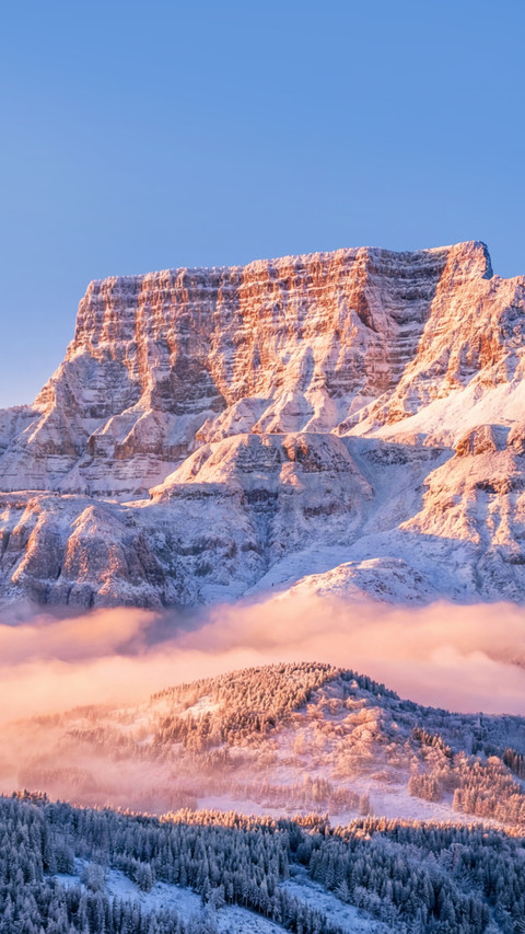 Sunrise and Sea of Clouds in Jinkou Grand Canyon preview