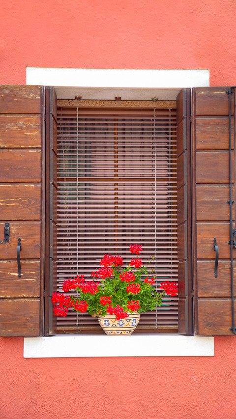 The flowers on the windowsill preview