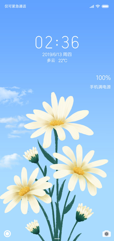 小菊花 preview