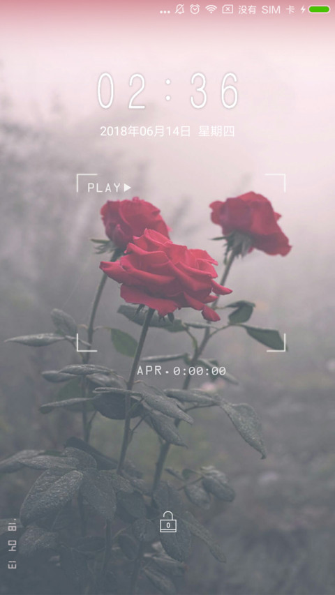 玫瑰花 preview