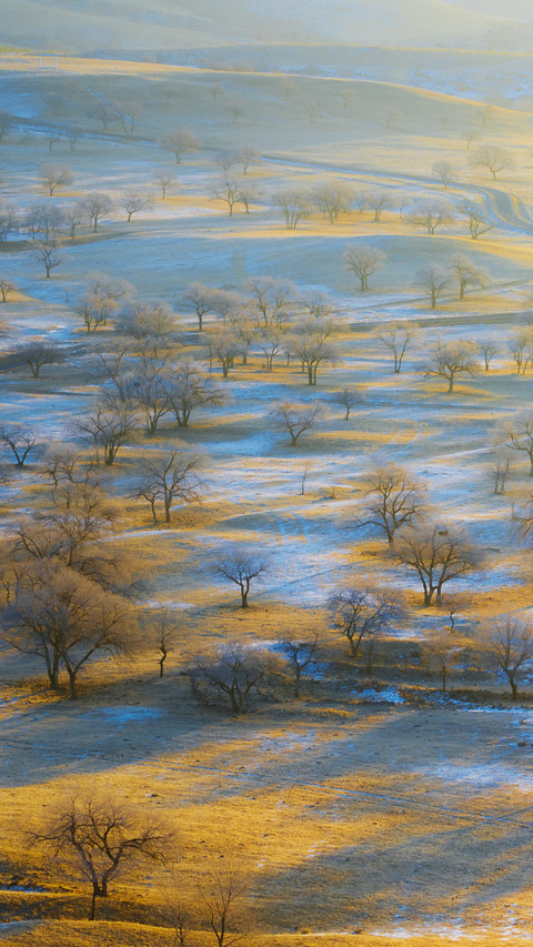 The dawn light falls over the grasslands and forests preview