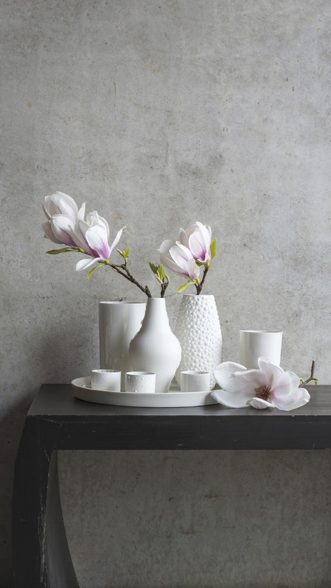 Elegant magnolia flower preview