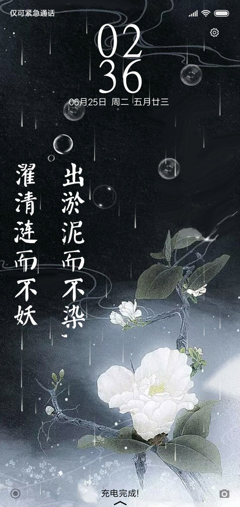 白莲 preview