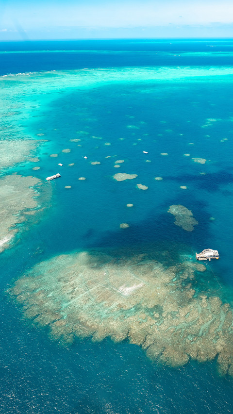Aerial view of the great barrier reef preview