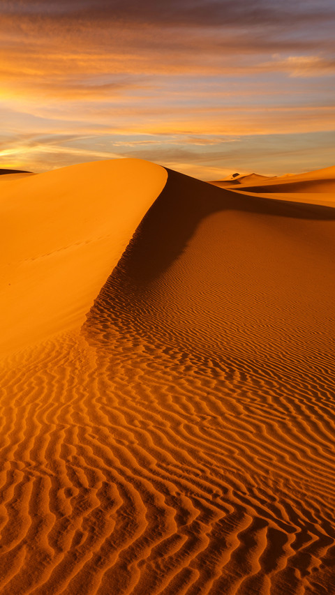 Desert feelings are more than Sahara 95 preview