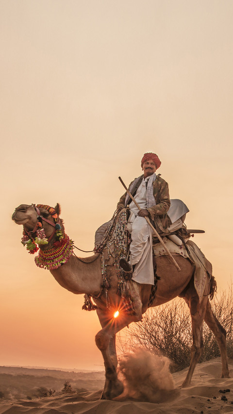 India-camel preview