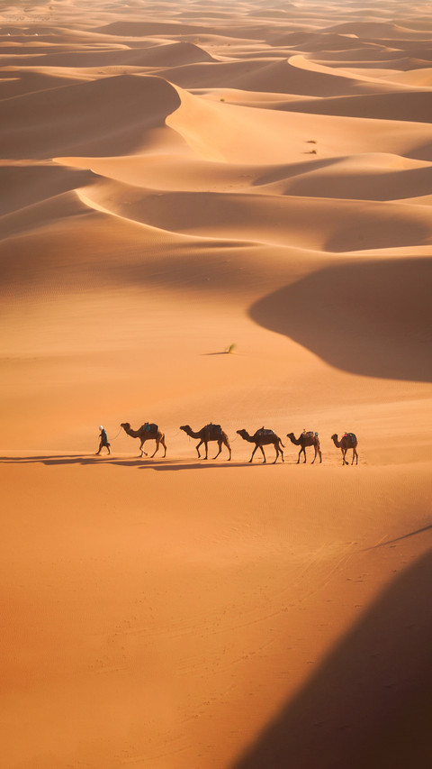 揭秘鸣沙现象的科学原理 preview