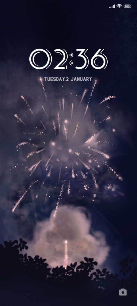 Fireworks preview