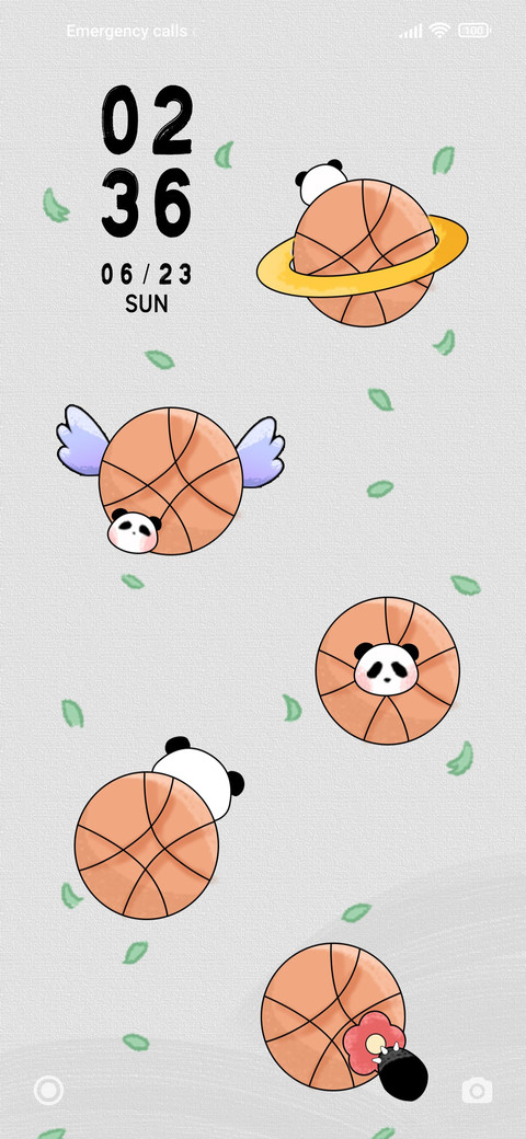 Panda Basketball preview