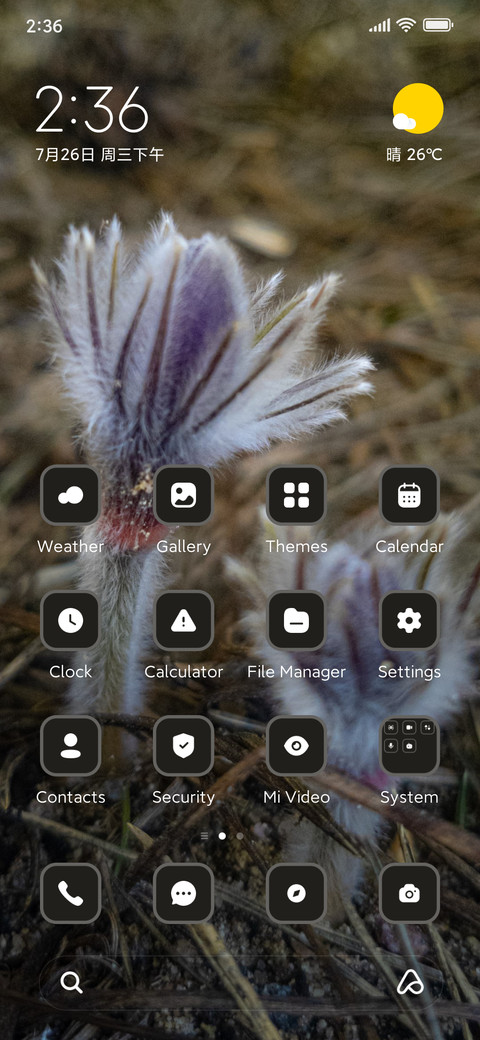 Crocus preview