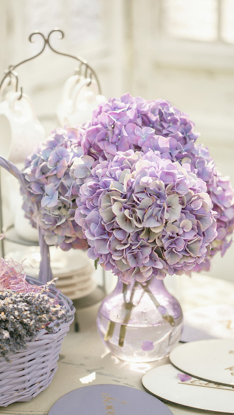 These things about Hydrangea 5 preview