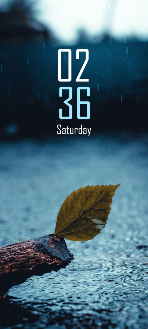 Dry Leaf preview