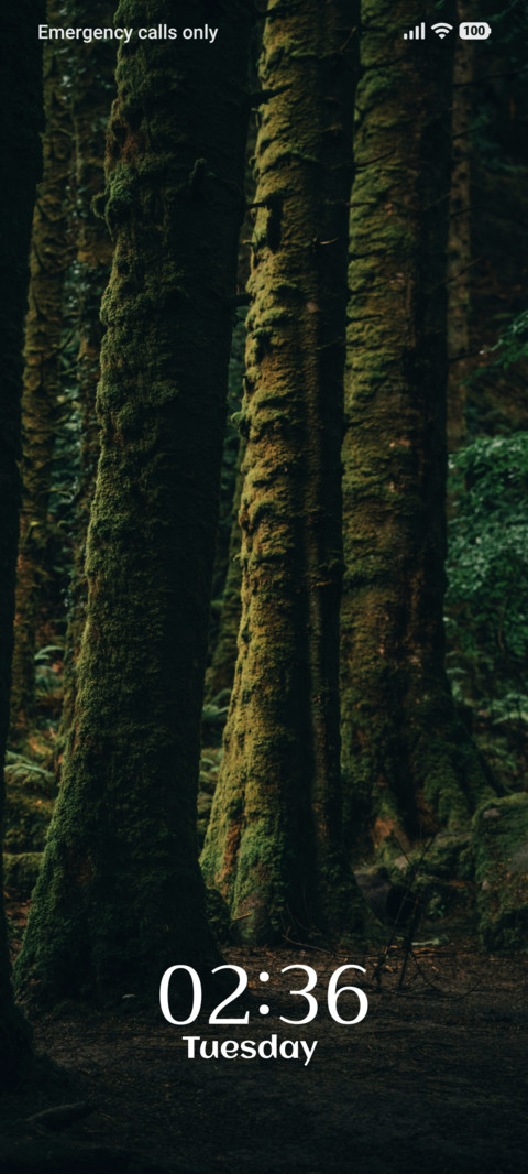 Shadow Moss preview