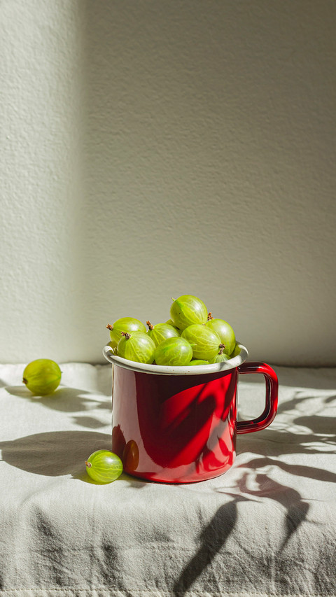 Gooseberry in a red enamel mug in sunlight preview