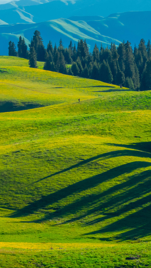 The vast expanse of green fields is depicted in a preview