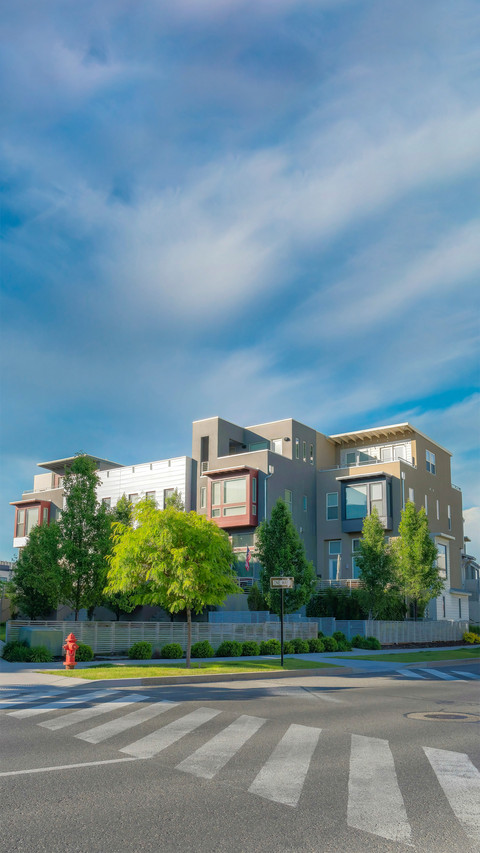 A town at the foot of Rosewood preview