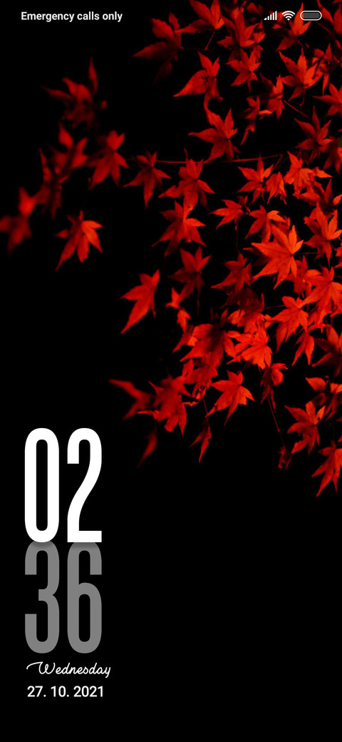 Maple Oz preview