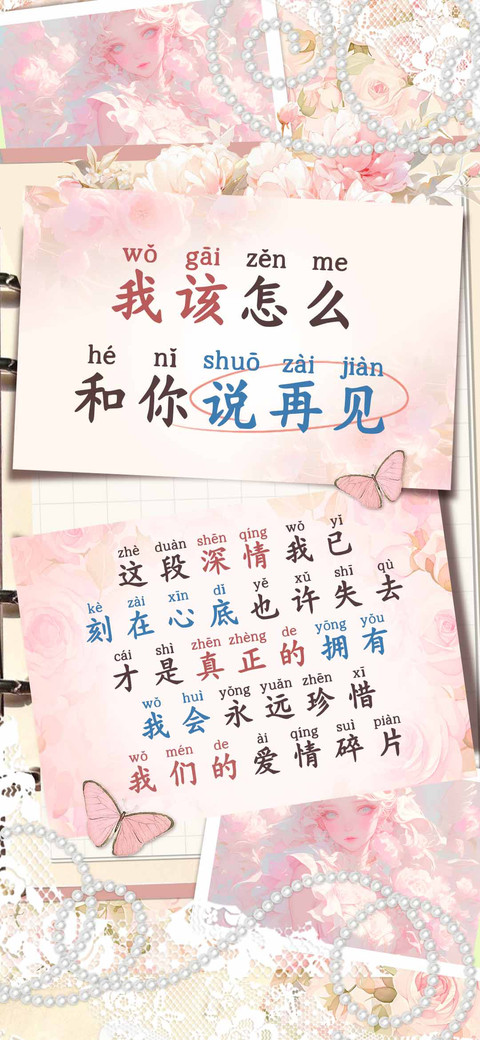 我该怎么和你说再见 preview