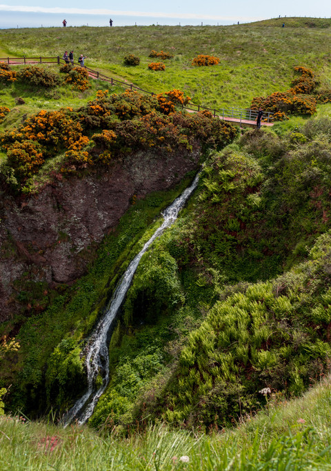 Scotland preview