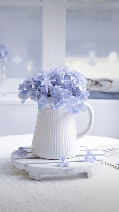 People who love flowers and plants deserve deep friendship 8 preview