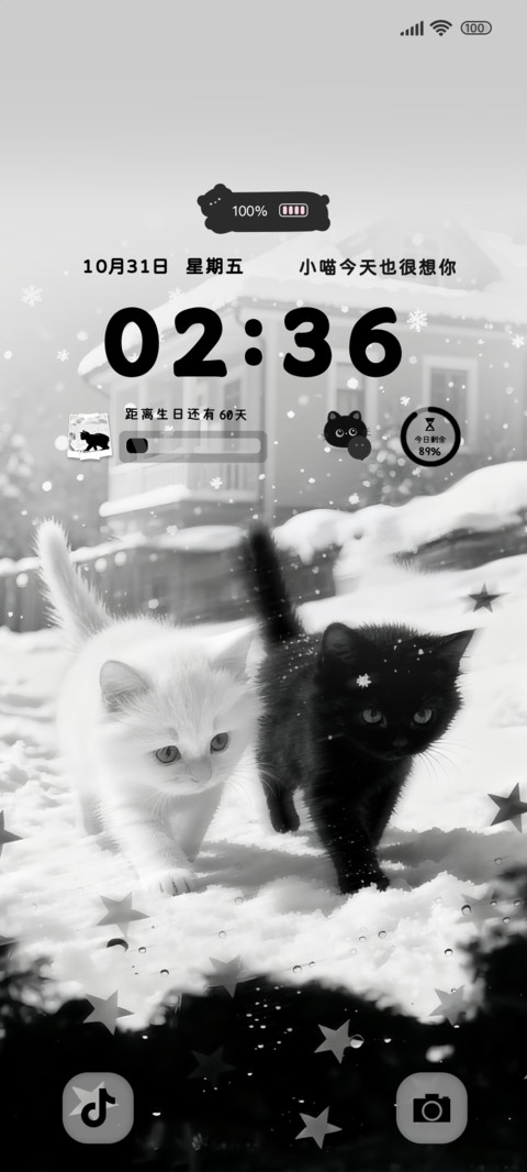 猫咪冬日的暖宝宝 preview