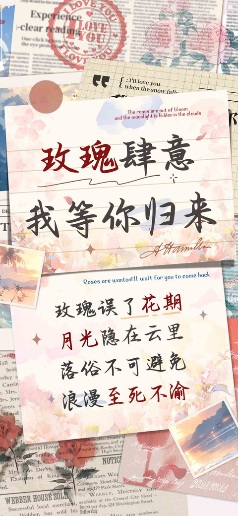玫瑰肆意我等你归来 preview