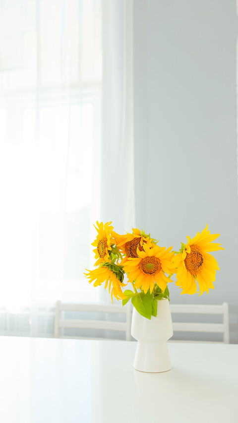 Sunflowers in a white vase stand on a white table preview