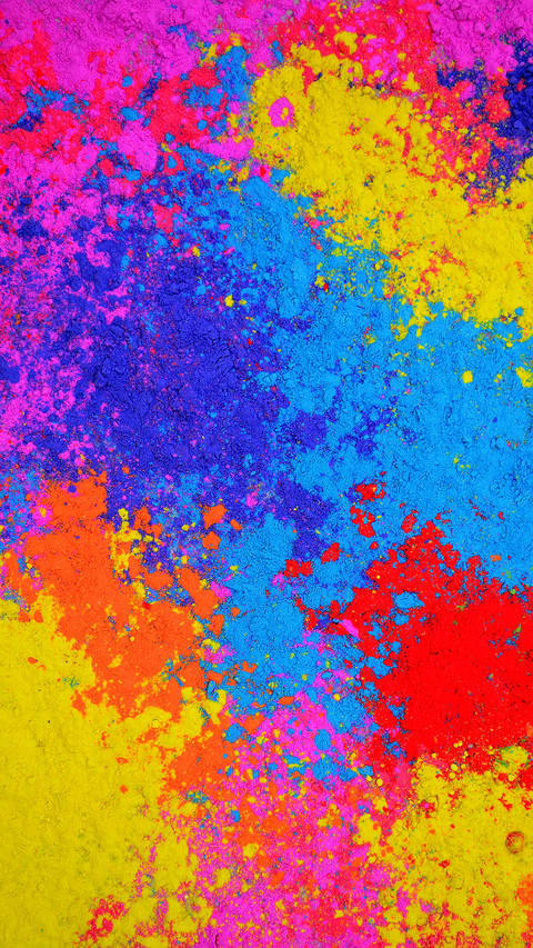 India-Holi (19) preview