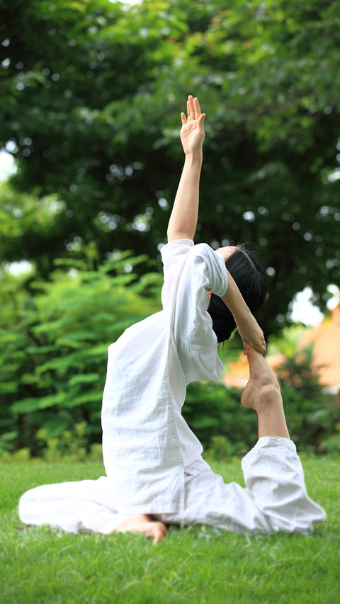 Article 8 healthy lifestyle standards 07 preview