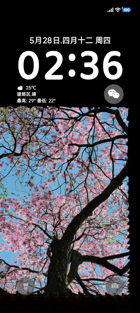 透明ap景深花 preview
