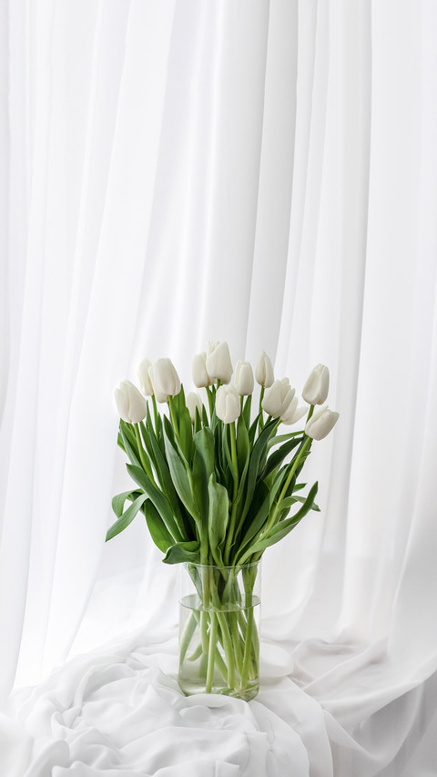 White Spring Flowers Tulips on the Window preview
