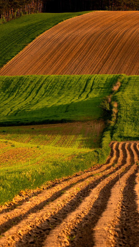 country scenery preview