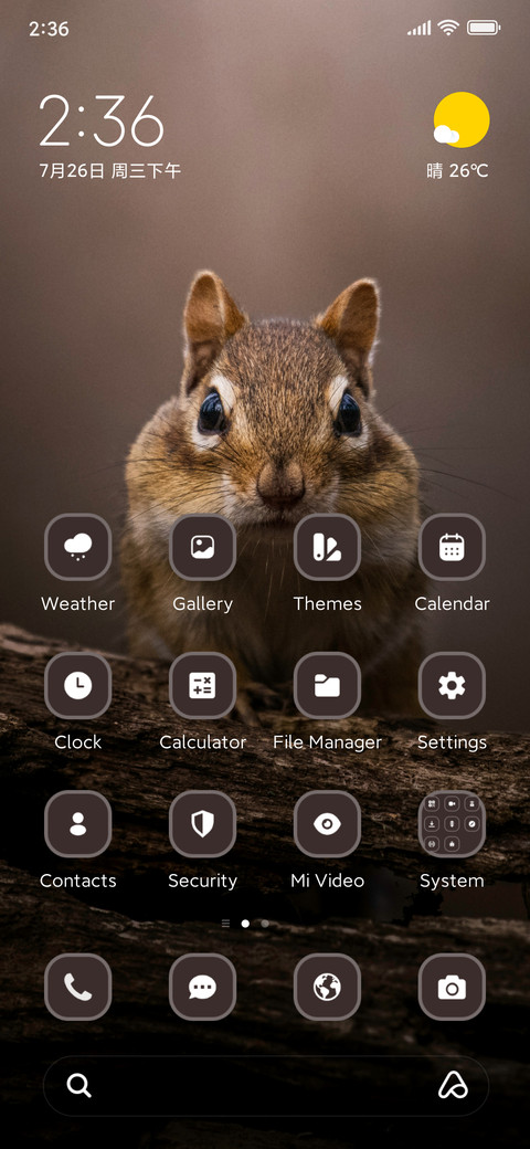 Cute Squirrel preview