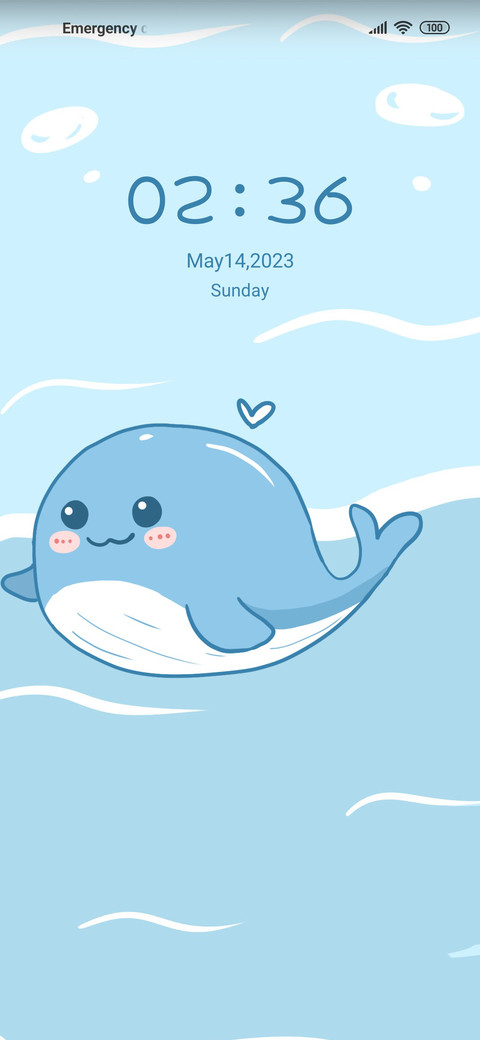 Round whale preview