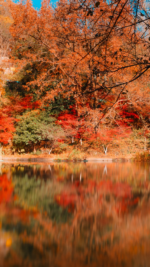 Qixia mountain in nanjing preview