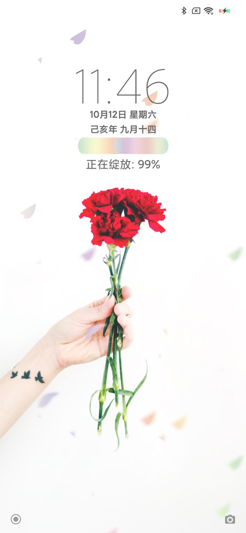 樱花 preview