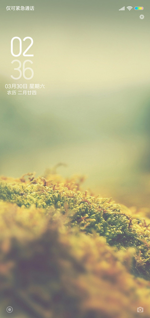 朦胧之美 preview