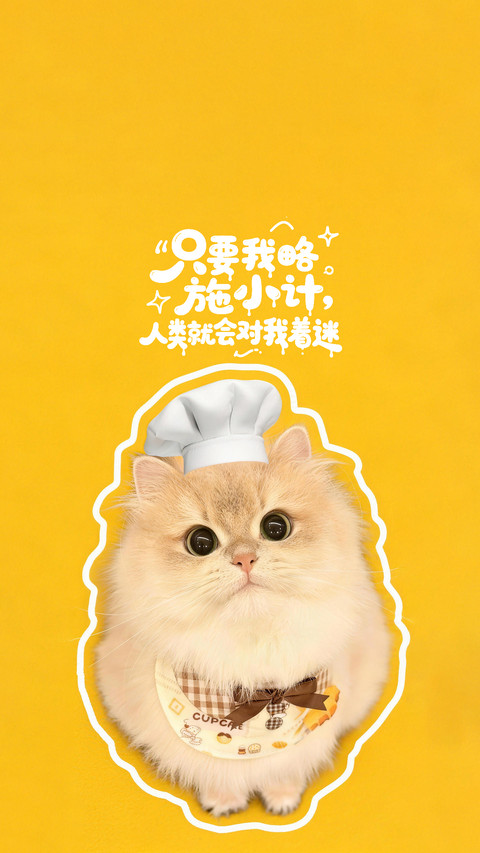 如何养出粘人小猫 preview